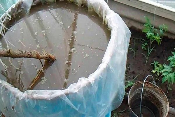 mullein solution