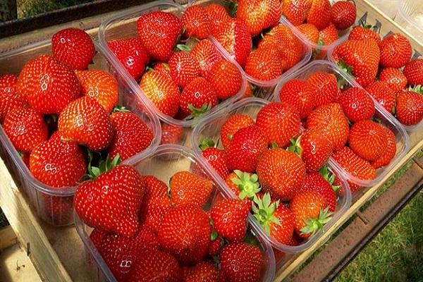 product in container