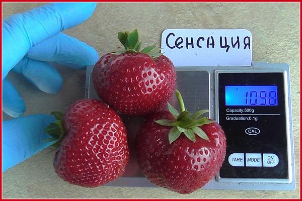 product weighing