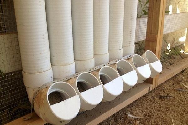 cung cấp thức ăn chăn nuôi