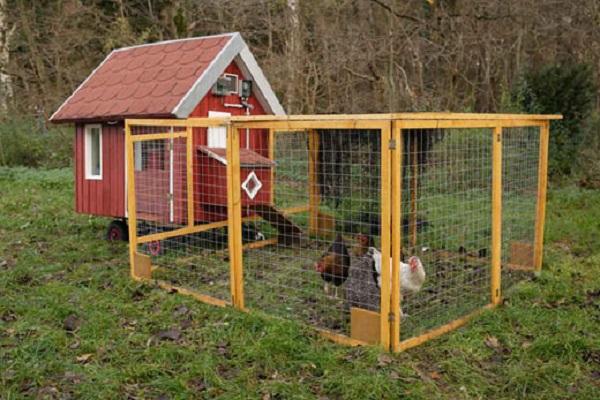 poultry house built