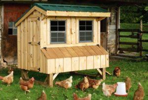 How to build a do-it-yourself chicken coop in the country, device and necessary materials