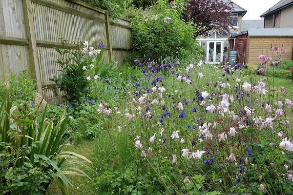 Pflanzen im Blumenbeet