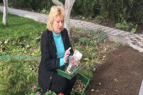 προετοιμασία υλικών
