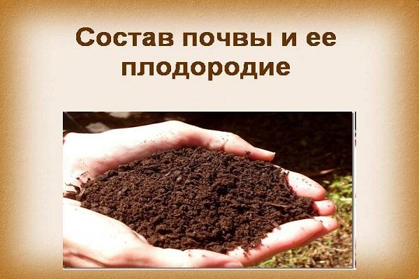 растресита земља