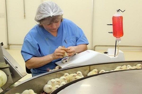 ваксинална доза
