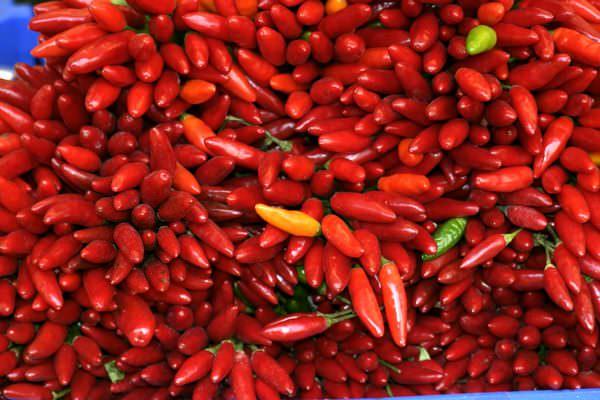 chilli