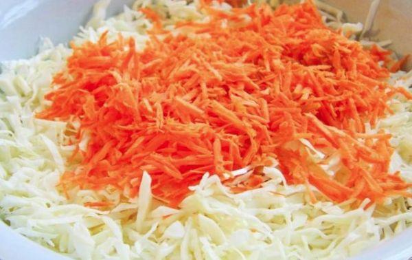 carrots with cabbage