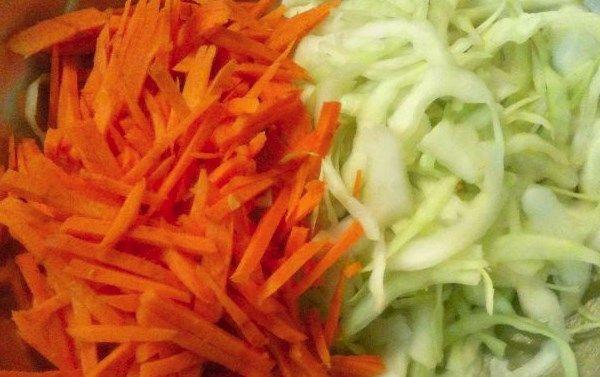 cabbage and carrots