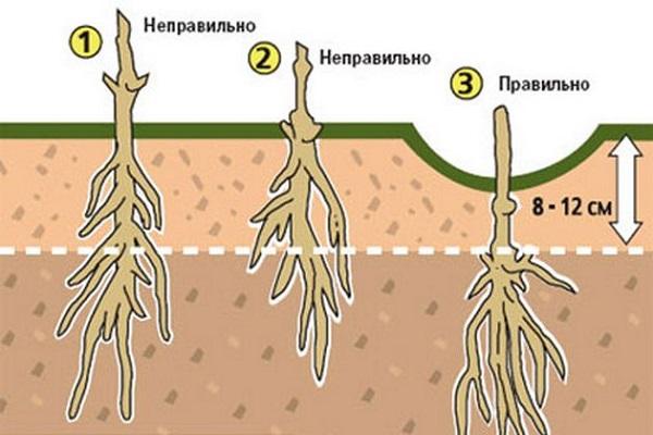 функции за кацане