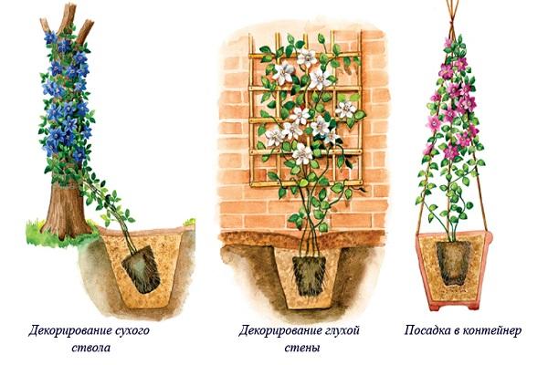 слетање по шеми