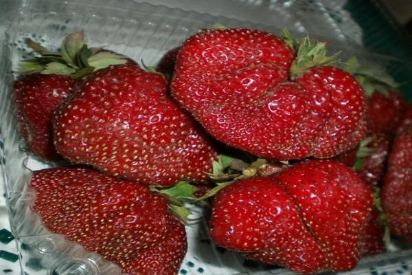 juicy fruit