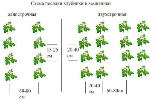 шеме слетања