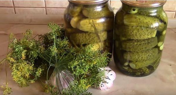 Cetrioli leggermente salati