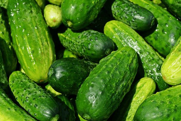 cetrioli dolci