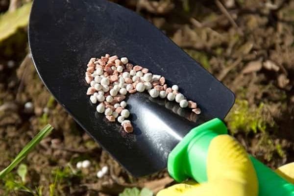 fertilizante contendo nitrogênio