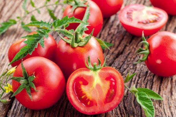 ripe tomatoes