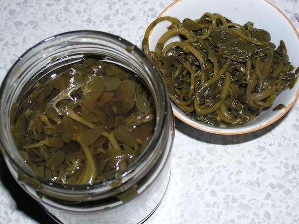 Nakladaný purslane