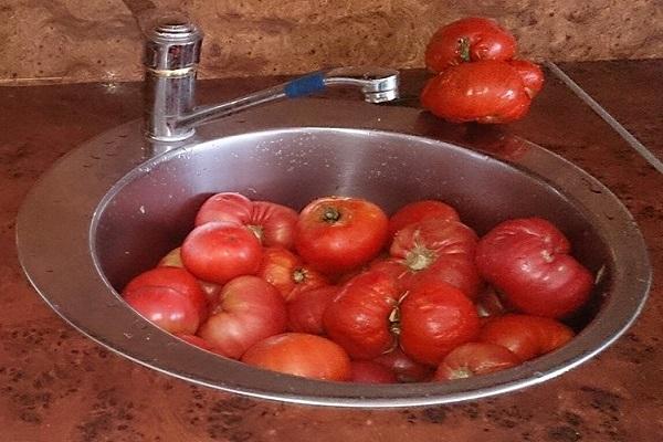 зеленчуци в мивката