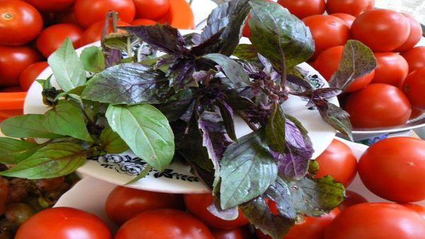 Tomaten mit Kräutern