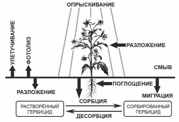 herbicide calculation