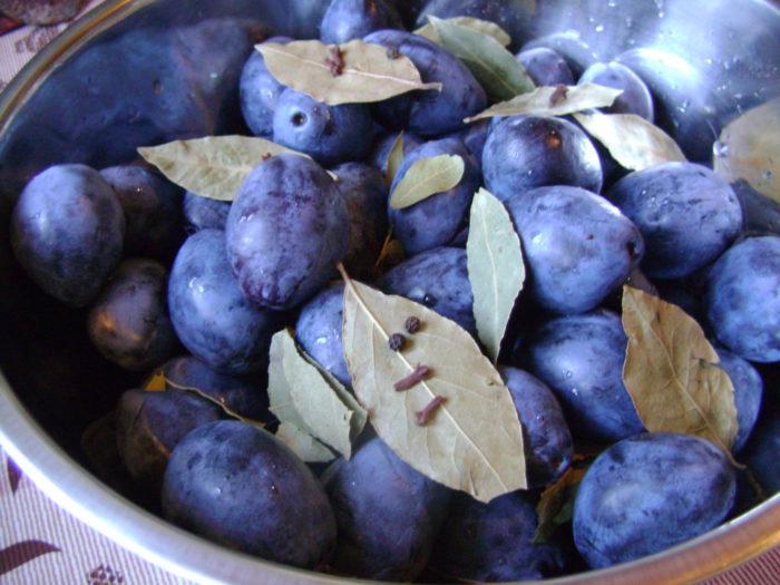 food preparation