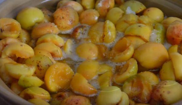 apricots for jam