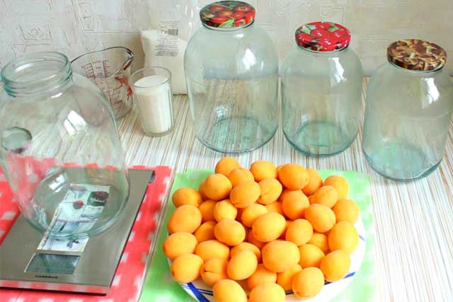preparación para la conservación