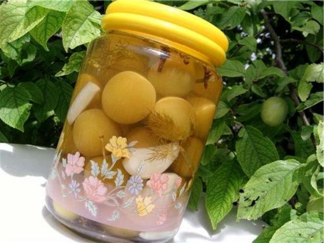 трешња шљива за зиму