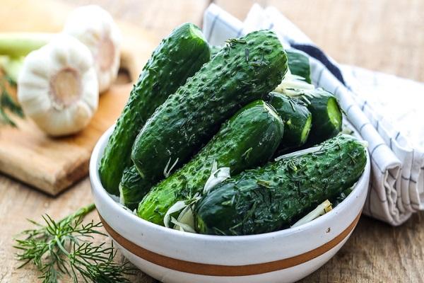 frische Gurken