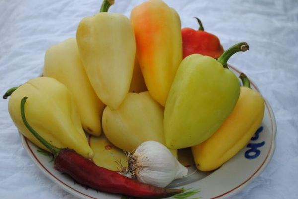 yellow pepper