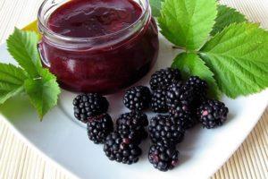 Que amoras podem ser feitas para o inverno, 13 receitas
