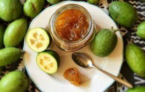 10 receitas para fazer purê de feijoa com açúcar para o inverno