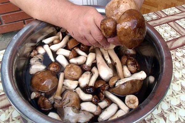 αφαιρέστε τη βρωμιά