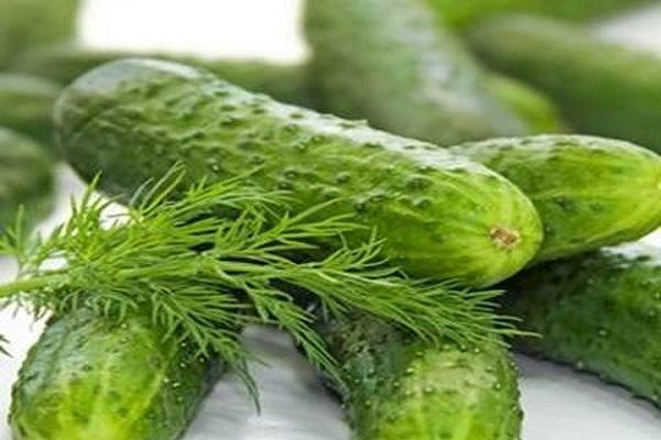 Sibirya tuzlaması