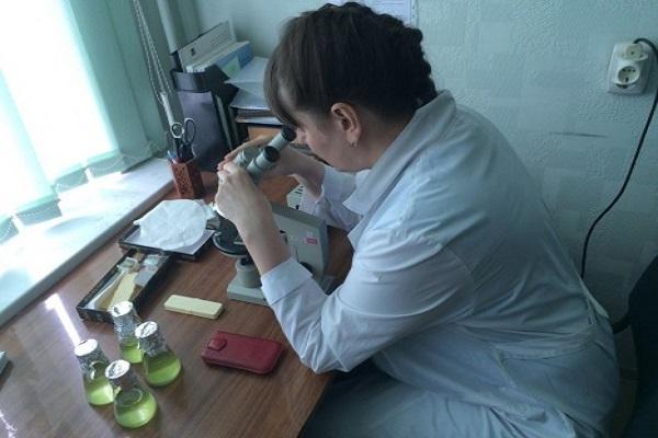 stanovenie toxicity