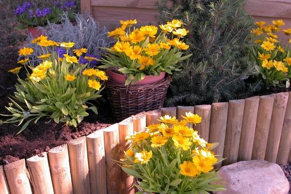 Blumenbeet Design