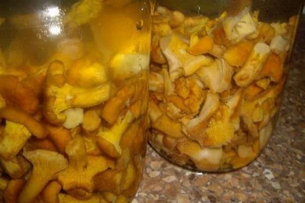 лисичарке са белим луком