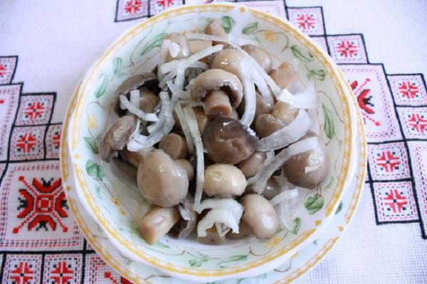 кисели лук са луком