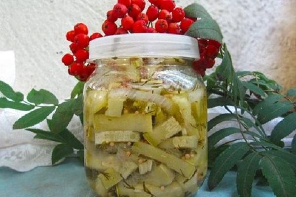 rote Eberesche