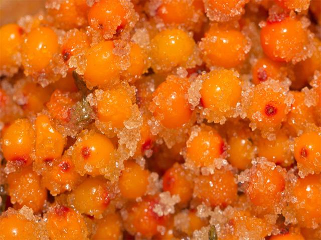 θαλασσινό buckthorn με ζάχαρη