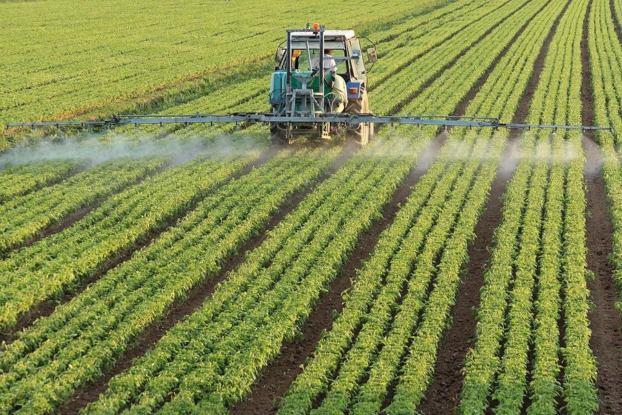 herbicide action