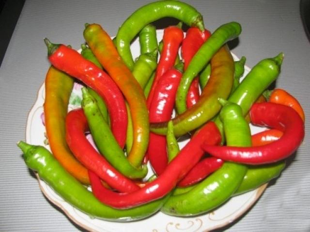cooking pepper