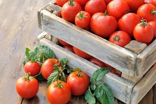 Box Tomate