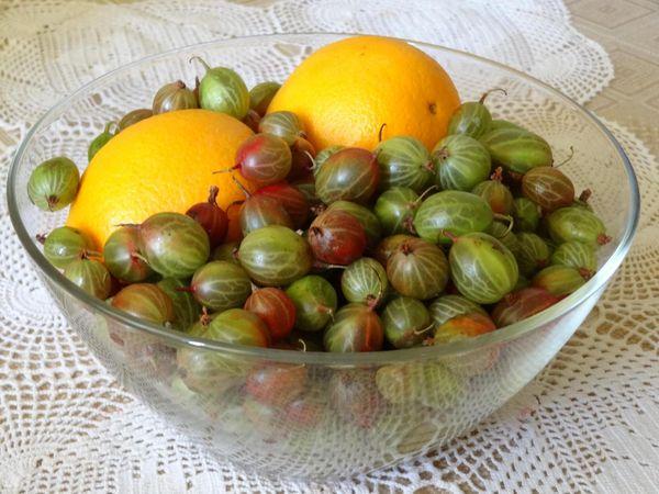 βάζο φραγκοστάφυλου
