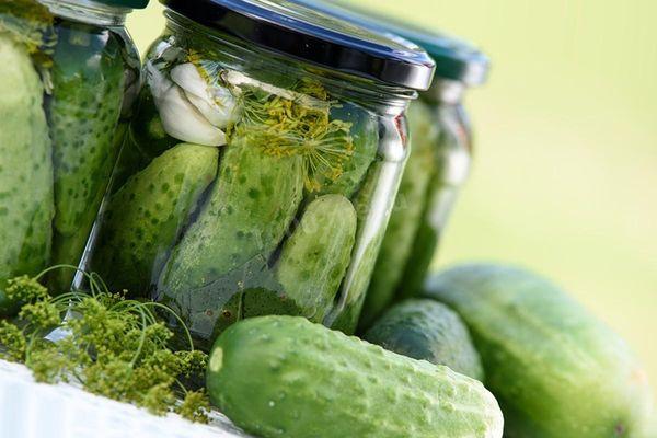 Frisch gesalzene Gurken