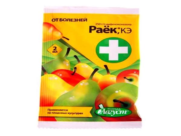 Раек дрога