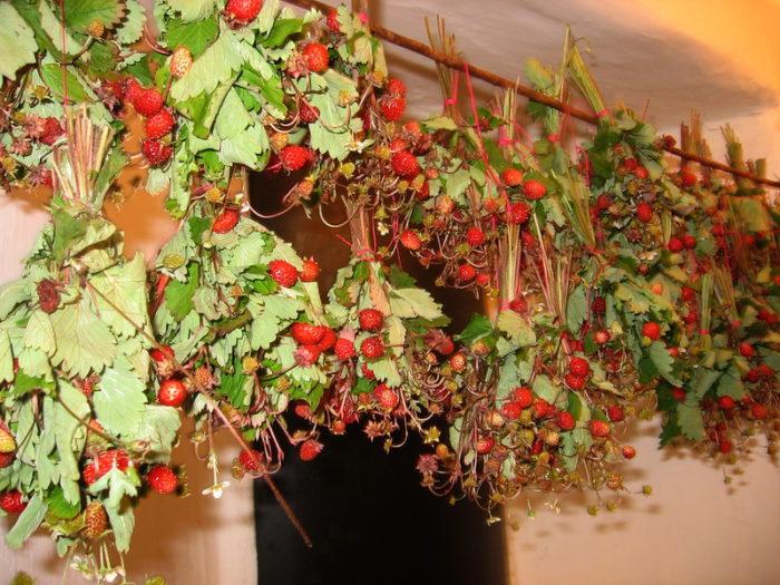 fraises sèches