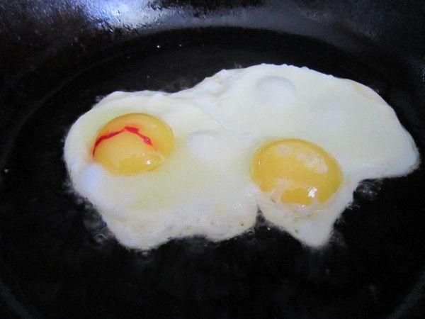 protein trong máu của trứng gà