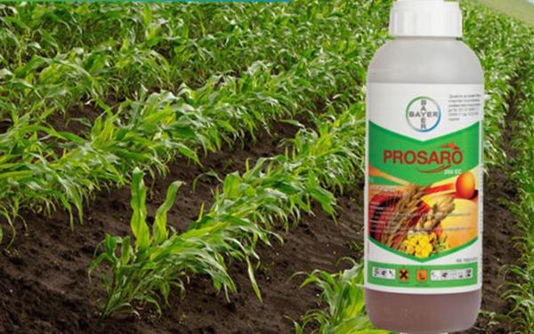 fungicide Prozaro